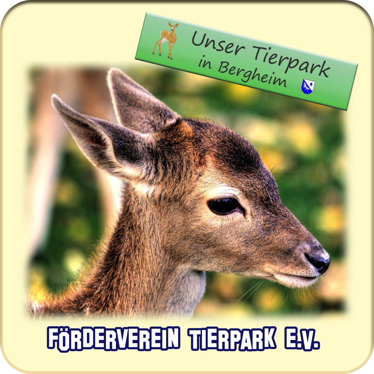 qi bierdeckel 2015 rückseite