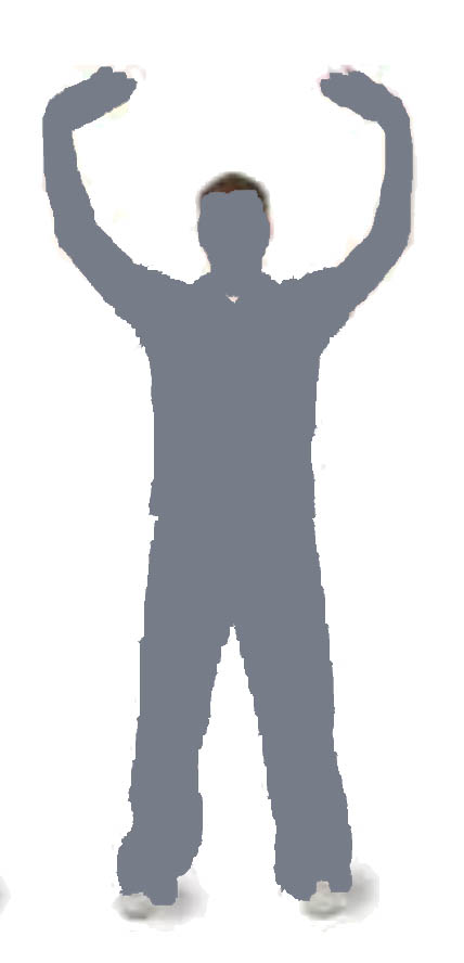 FreiChi Pose