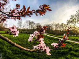 Frühling
