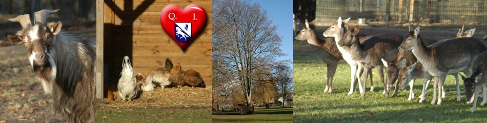 Titelbilder